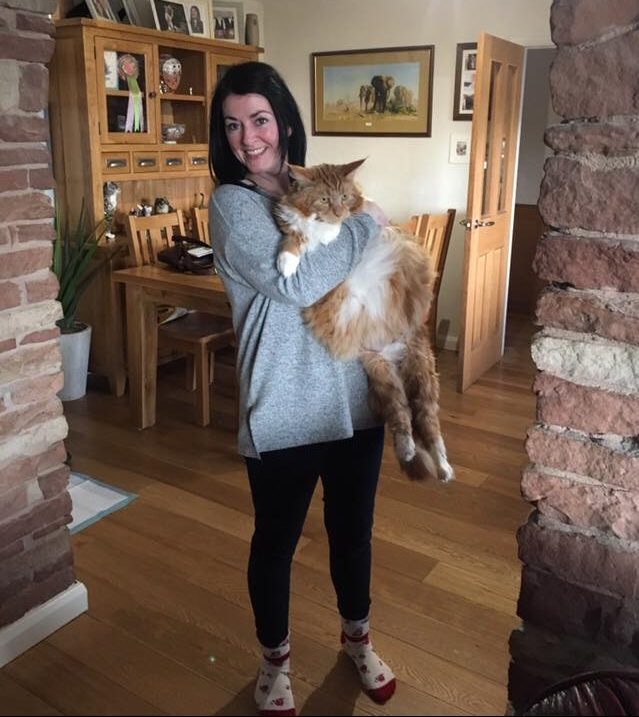 3EB9C60C-1913-4FF6-9BFF-BB9D3E4B9F4A