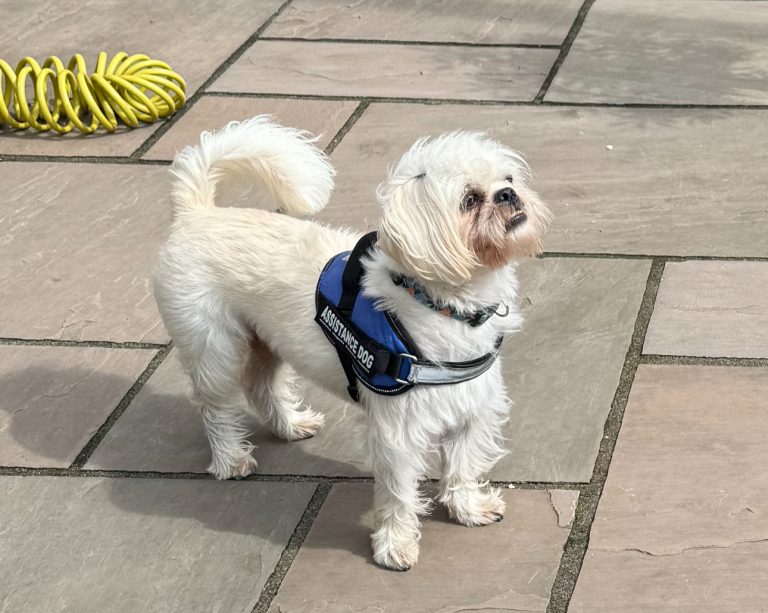 6F323AF3-147B-4D06-8ED1-9CCED8FFD72E