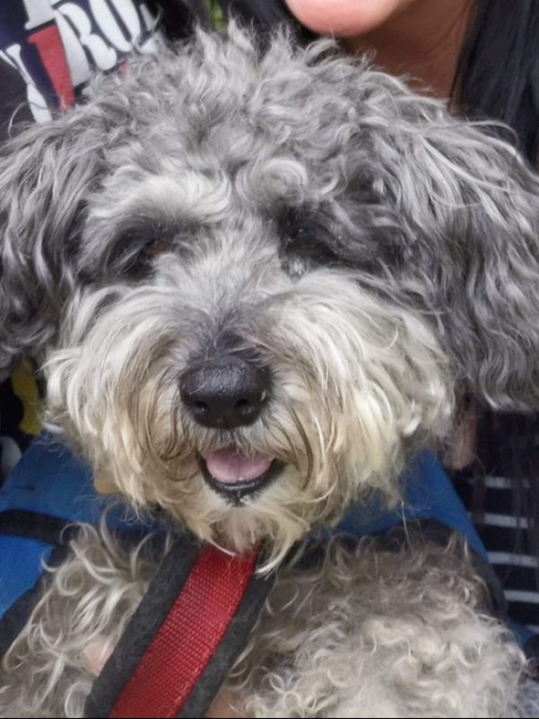 1199C96B-C53D-4159-B4D1-B15F7B2F7045