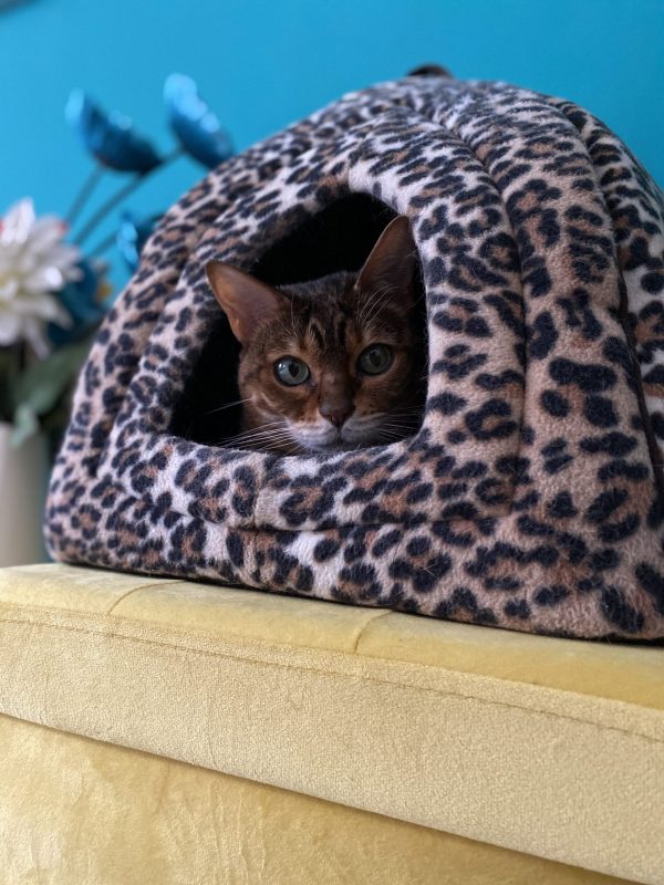 20EBA58D-2483-4B05-A4C6-E042BEB4C52F