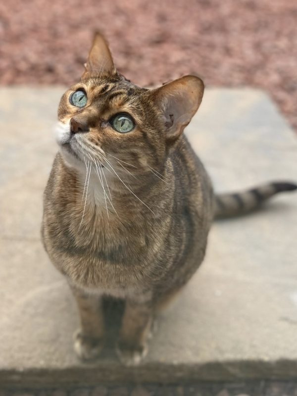 231203DC-46C8-4FF1-9E76-72489F4FF3AE