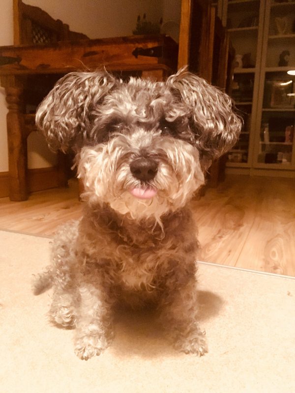 4712F954-A6AE-41DA-96FC-0F847BEF9522