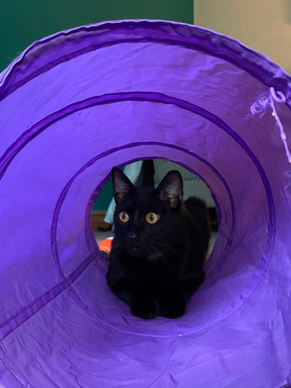 63062D8F-62DA-4F64-B0C5-F32A238DD75A