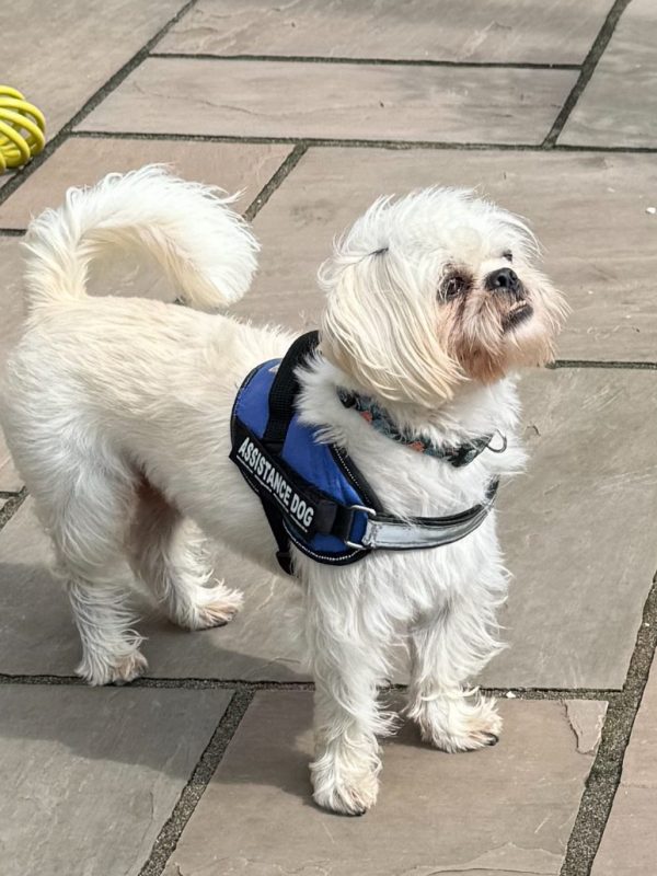 6F323AF3-147B-4D06-8ED1-9CCED8FFD72E