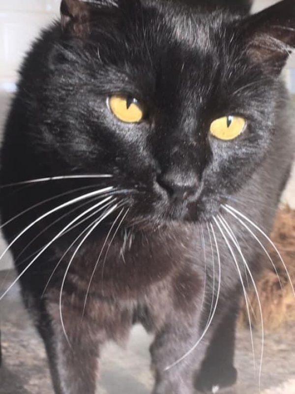 6F328E7F-6B1B-45B5-BE62-02853EAB8877