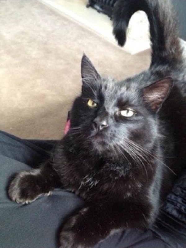 C983C2C8-E589-4688-B101-549E686904E4