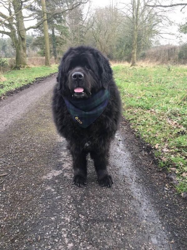 CA3E7808-60BE-41A4-8ECC-FCE47D1D4C60