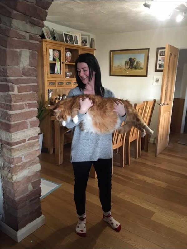 DDCD8D7B-0D8F-4D74-9E38-C58C00BA07ED