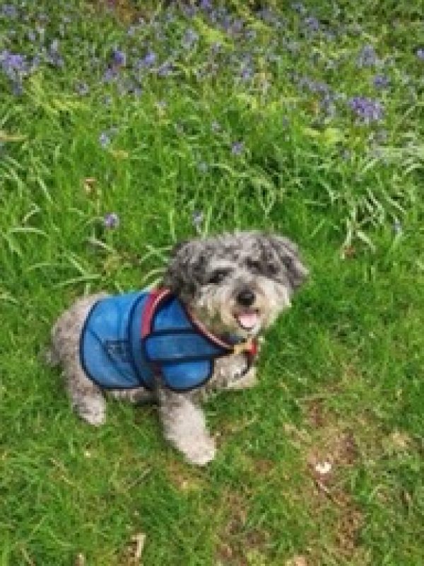 F46EC0C6-4565-4ACA-A3AE-2938D763E8E1