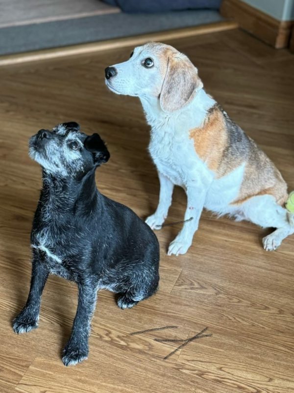 Screenshot_20240910-122233